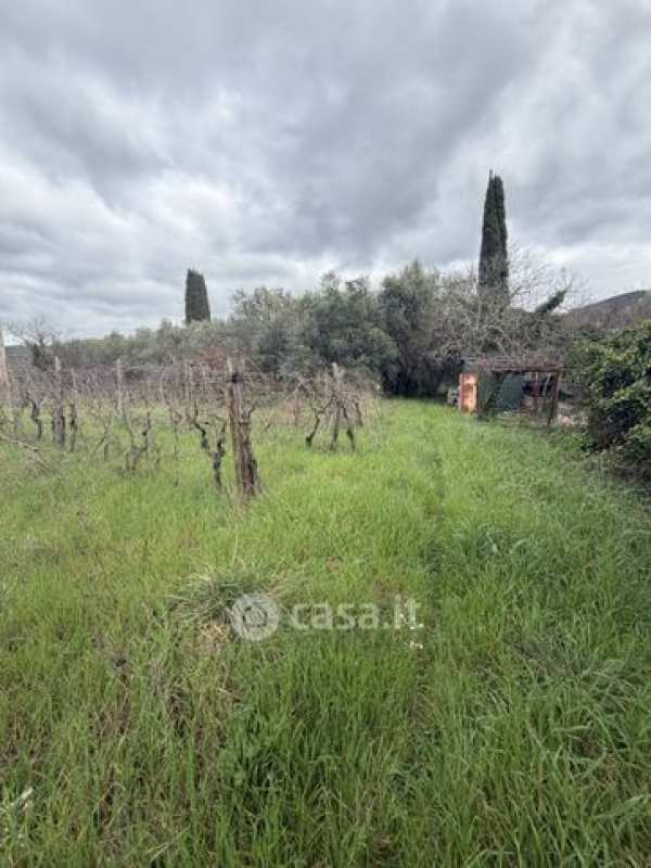 Terreno agricolo in commerciale in 