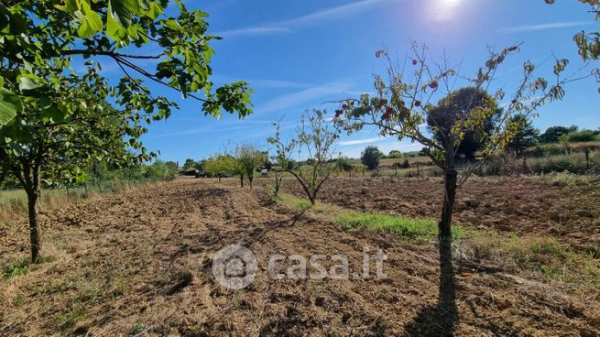 Terreno agricolo in commerciale in Via delle Buchette