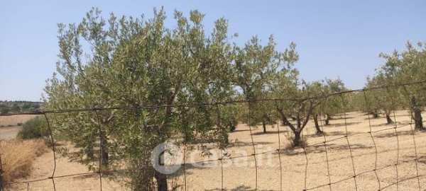 Terreno agricolo in commerciale in olivella