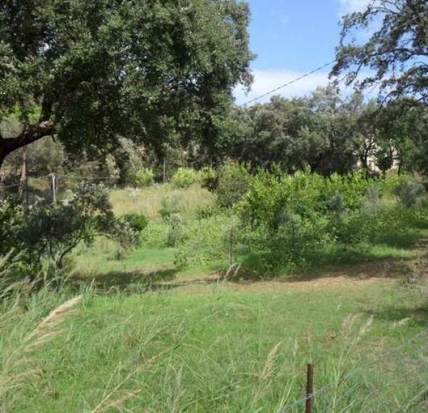 Terreno agricolo in commerciale in Contrada Kalura