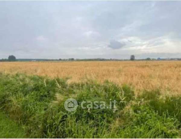 Terreno agricolo in commerciale in Via Pramorin