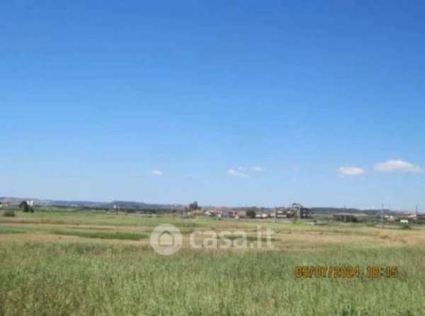 Terreno agricolo in commerciale in Via dei Delfini