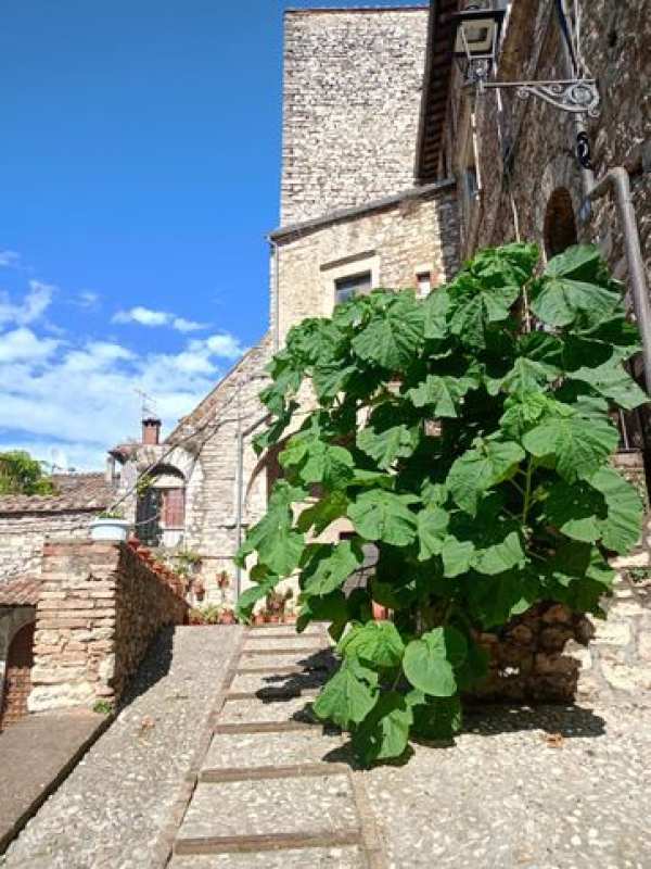 Loft in residenziale in 