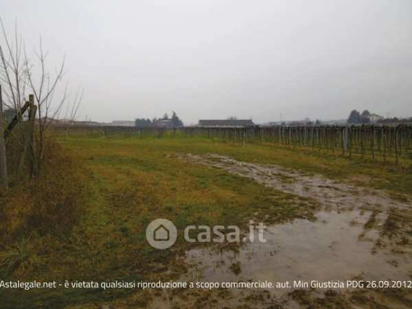 Terreno agricolo in commerciale in Via Pigno