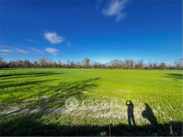 Terreno agricolo in commerciale in Piazza Punto Caprara 17
