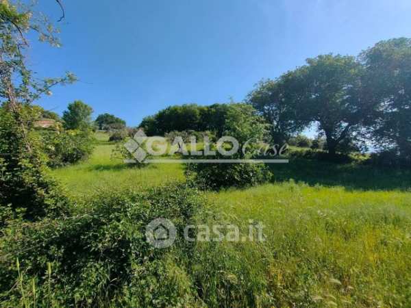Terreno agricolo in commerciale in Contrada Frattini