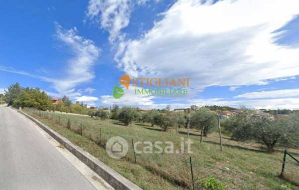 Terreno agricolo in commerciale in Contrada Colle delle Api