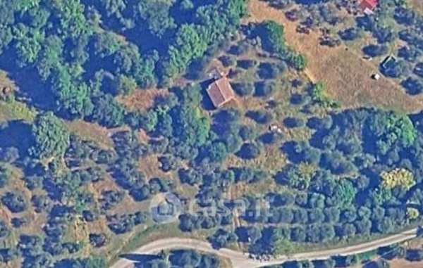 Terreno agricolo in commerciale in Via Nuova
