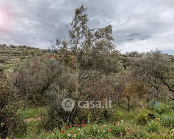 Terreno agricolo in commerciale in 