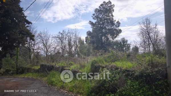 Terreno agricolo in commerciale in Via Carpene