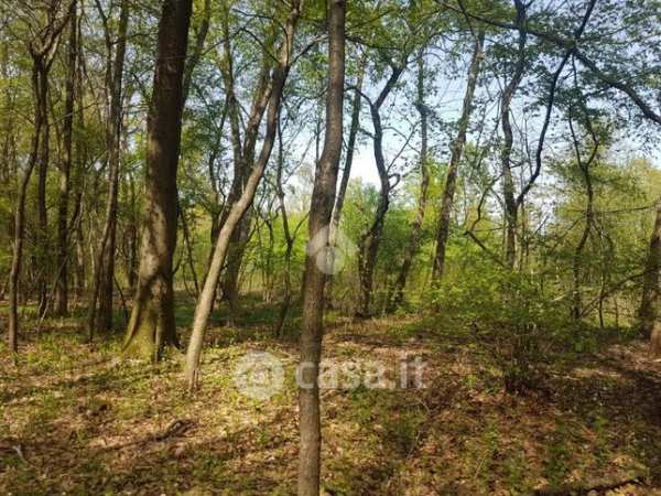 Terreno agricolo in commerciale in Via Giuseppe Mazzini 16