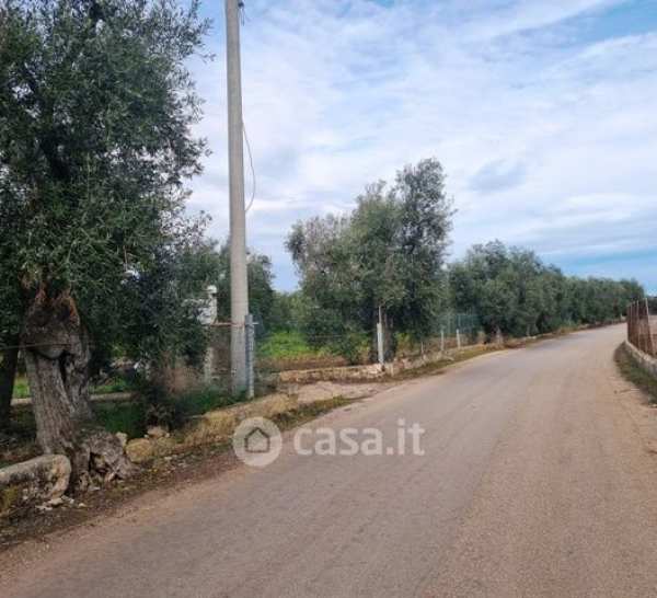 Terreno agricolo in commerciale in Carrara Stradelle