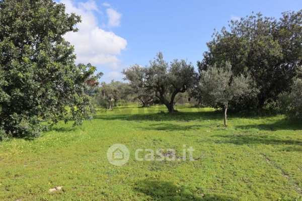 Terreno agricolo in commerciale in Via Generale Cascino
