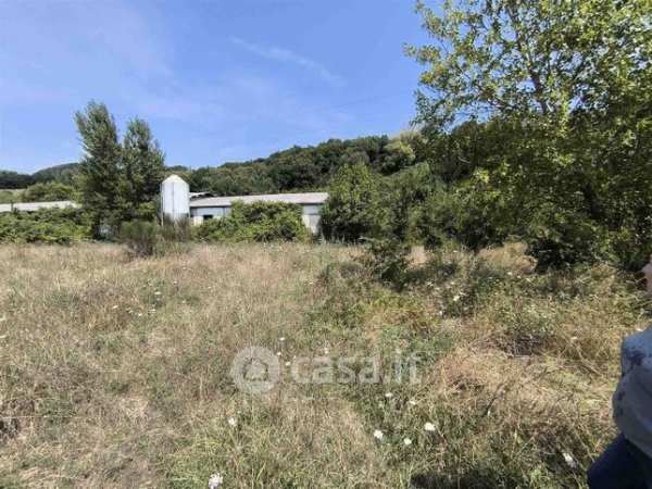 Terreno agricolo in commerciale in 