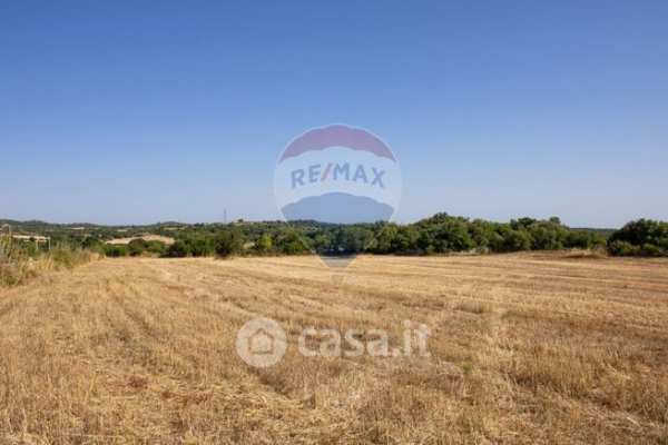 Terreno agricolo in commerciale in Contrada Contessa