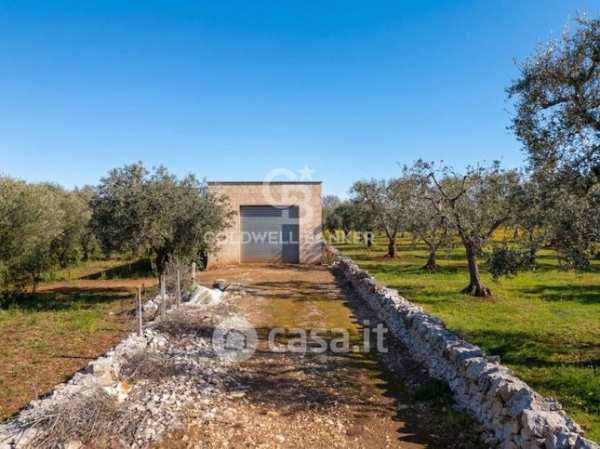 Terreno agricolo in commerciale in Contrada Cavallerizza