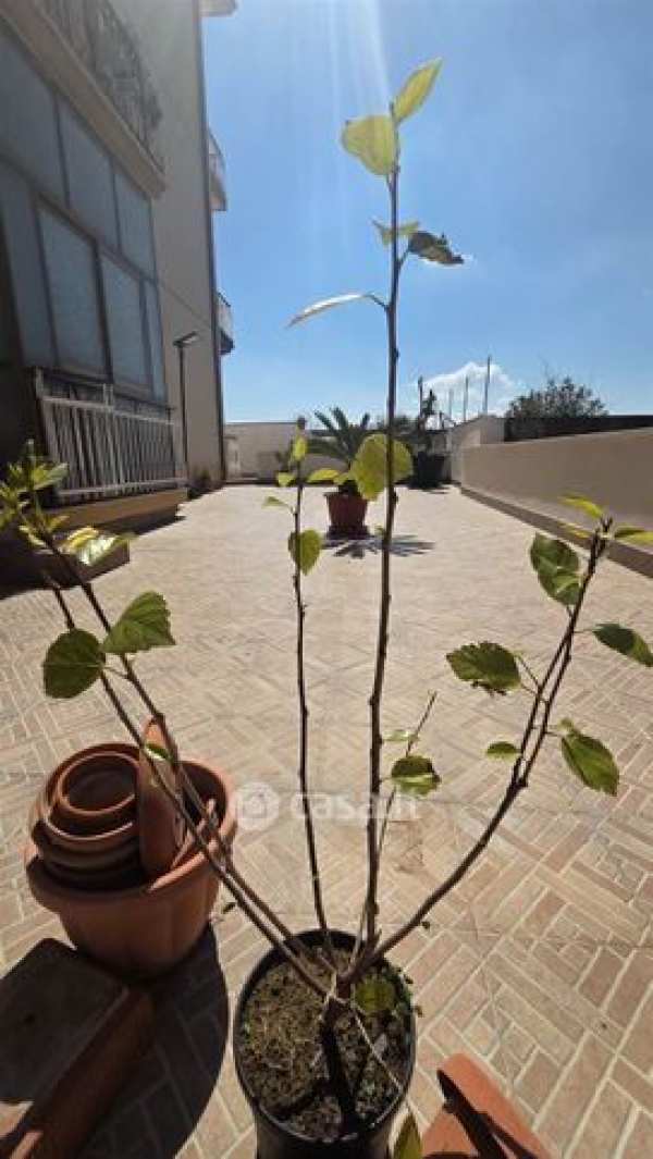 Appartamento in residenziale in Via J. F. Kennedy