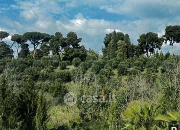 Terreno agricolo in commerciale in Via Tuscolana
