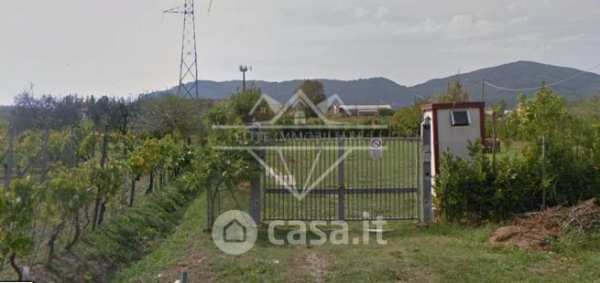Terreno agricolo in commerciale in Via Gragnola 40