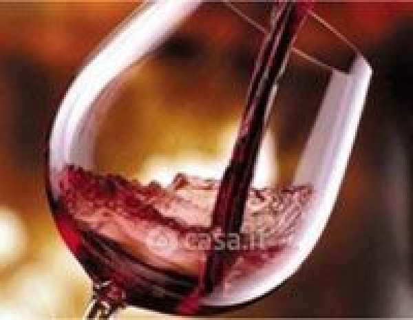 Attivitã /licenza (con o senza mura) in commerciale in Campo Santo Stefano