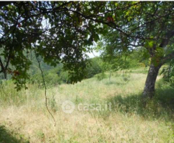 Terreno agricolo in commerciale in Via FossecalÃ¬