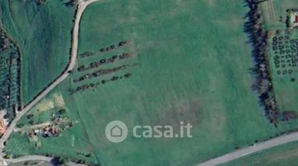 Terreno agricolo in commerciale in Strada Provinciale Palaiese