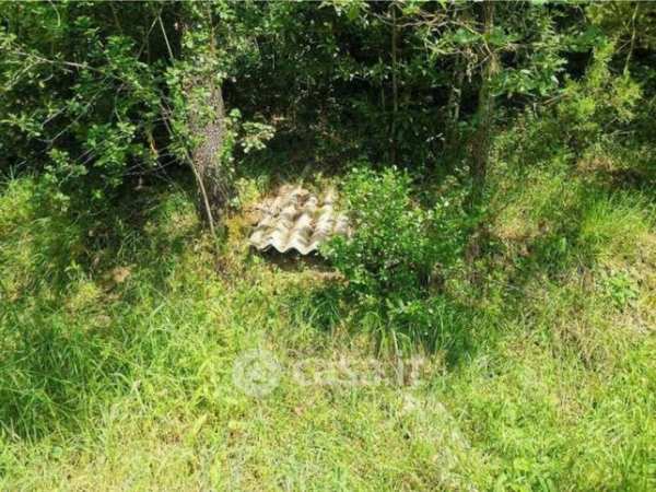 Terreno agricolo in commerciale in Strada Provinciale 4 Volterrana