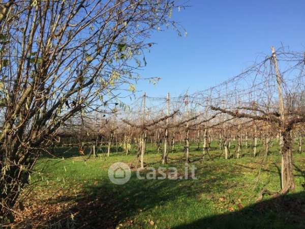 Terreno agricolo in commerciale in Via Imperiale