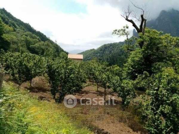 Terreno agricolo in commerciale in 