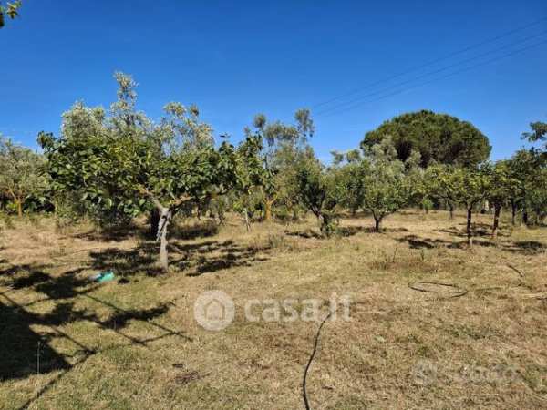Terreno agricolo in commerciale in 