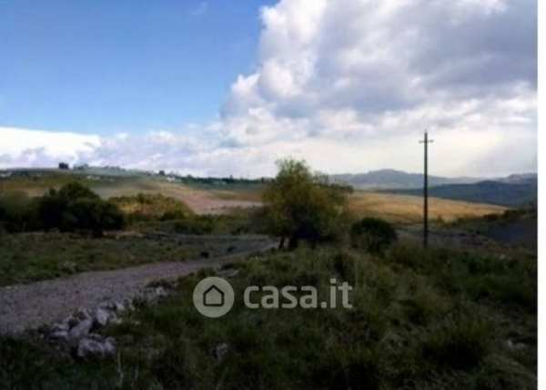 Terreno agricolo in commerciale in Contrada Vanelle