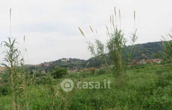 Terreno agricolo in commerciale in Via di Mezzo
