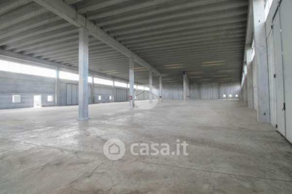 Capannone in commerciale in Via dei Curti 1