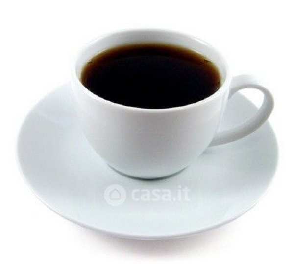 Attivitã /licenza (con o senza mura) in commerciale in Borgo San Frediano