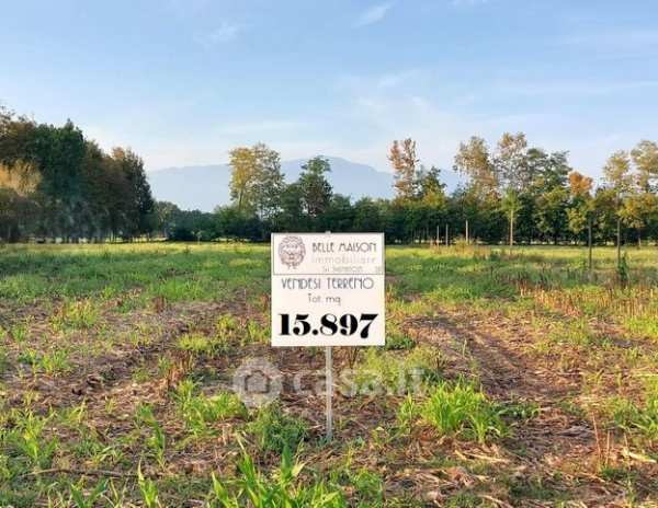 Terreno agricolo in commerciale in Via Postumia di Ponente