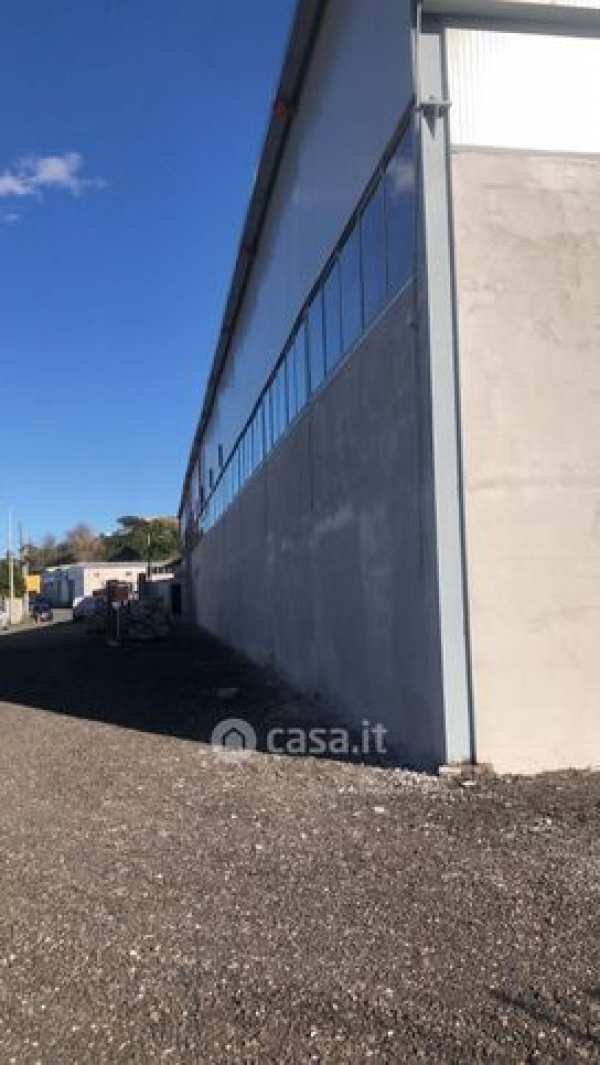 Capannone in commerciale in Via Giovan Battista Molinelli