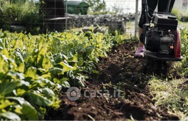 Terreno agricolo in commerciale in 