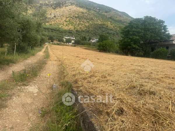 Terreno agricolo in commerciale in Via Maiella