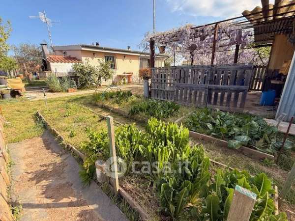 Terreno agricolo in commerciale in campo cangino