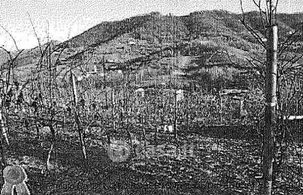 Terreno agricolo in commerciale in Via IV Novembre