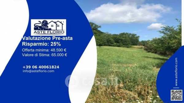 Terreno agricolo in commerciale in Via Sangallo