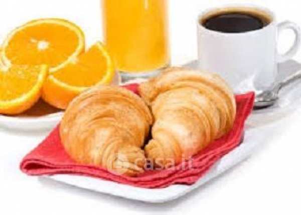 Attivitã /licenza (con o senza mura) in commerciale in 