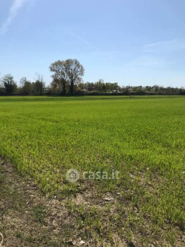 Terreno agricolo in commerciale in 