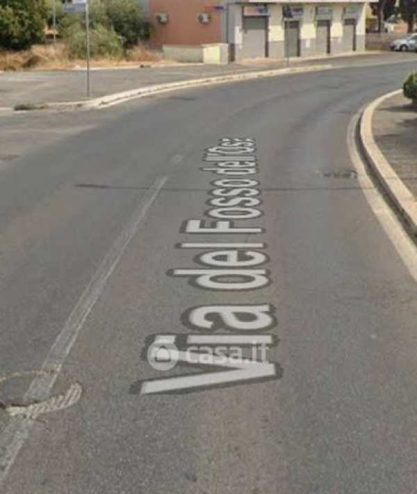 Terreno agricolo in commerciale in Via del Fosso dell'Osa