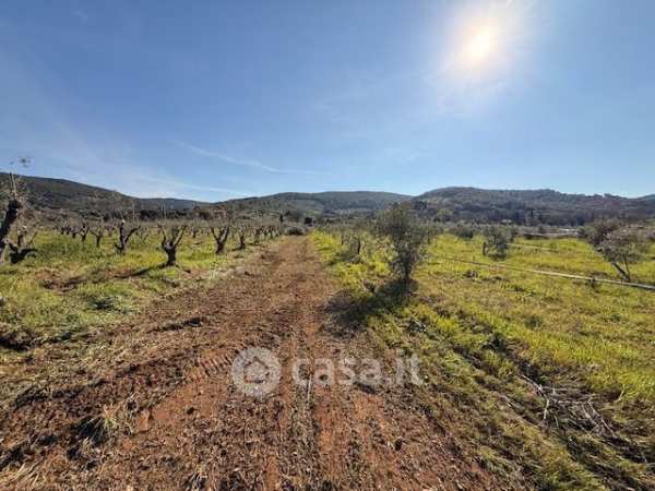 Terreno agricolo in commerciale in Strada provinciale dell'accesa