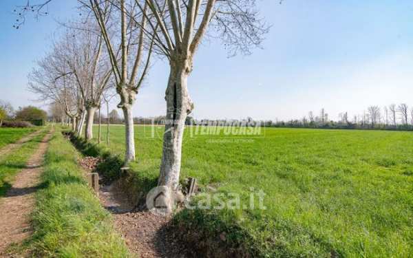 Terreno agricolo in commerciale in Via Cimbardi