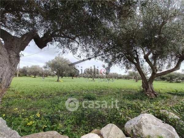 Terreno agricolo in commerciale in 