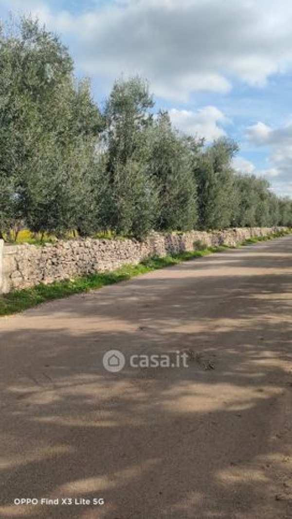 Terreno agricolo in commerciale in Strada Esterna Boccotero 17