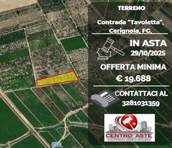 Terreno agricolo in commerciale in Via Pantanella