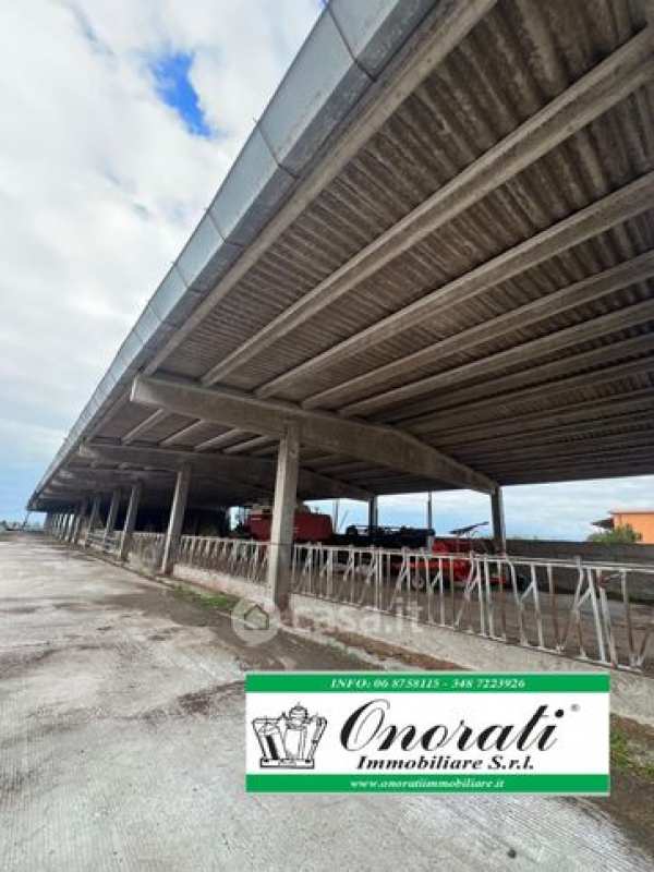 Capannone in commerciale in 